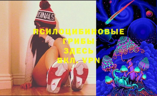 спайс Алексеевка