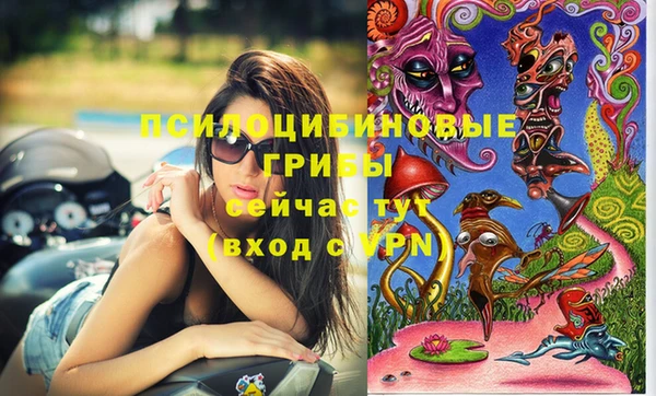 прущие грибы Алексин